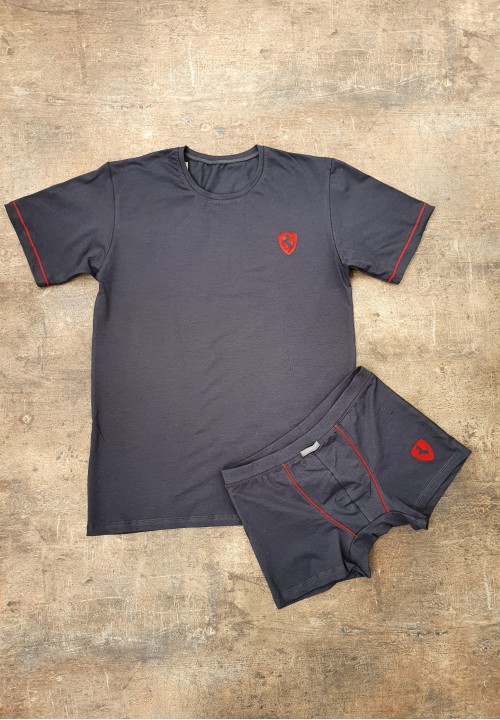 Man set t-shirt with boxer in grey